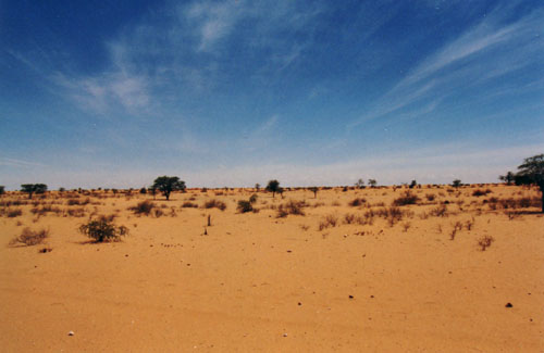 Kalahari Wste